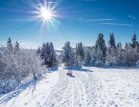 Sledging & Pony Sledging from Le Coucou