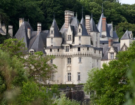 Royal Family Escapade: Paris, Versailles & Loire Valley