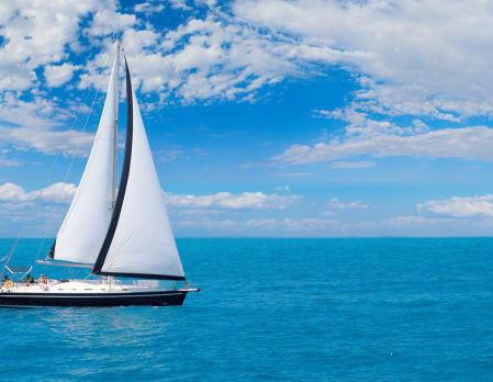 Graceful Cruising