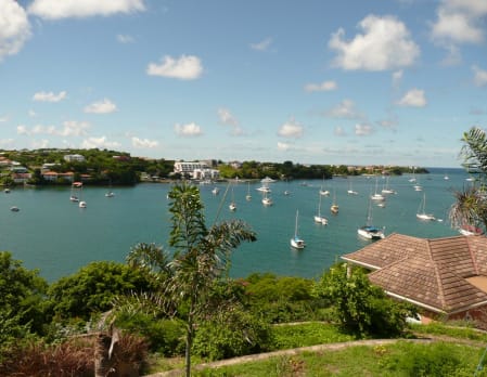 Culinary Caribbean