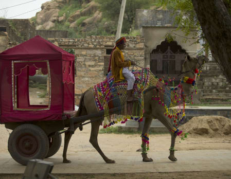 Alila Fort Bishangarh - Camel Safari