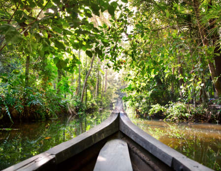 Backwaters - Experience Kumarakom