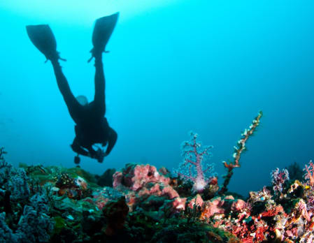 Amankila - Diving