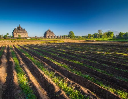 Cycling Prambanan Village