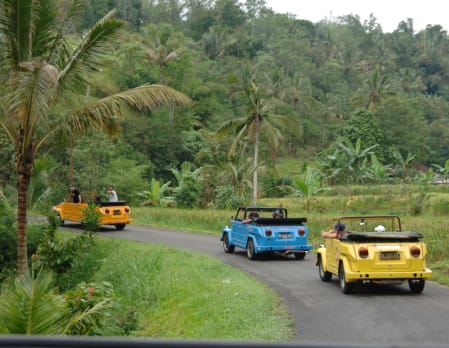 Exotic Bali by Volkswagen Convertible