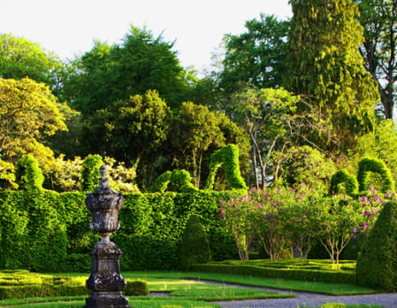 The Gardens at Birr Castle