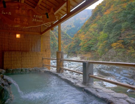 Hotel Iya Onsen