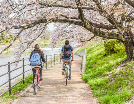 Cycling - Golden Tour (3 hours)