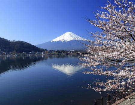 Full Day Hakone National Park Tour