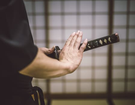 Ninja Dojo (Entry level 1 hour private Ninja lesson)