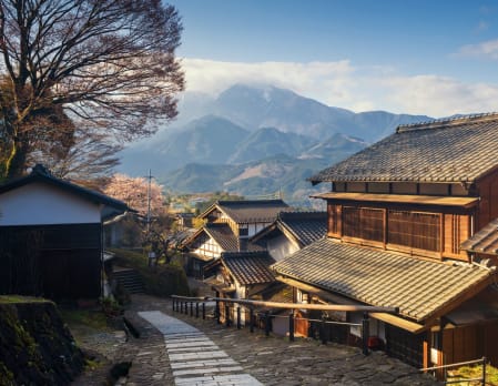 Exceptional Japan