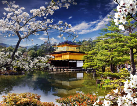 Japan in Spring - Cherry Blossom Season