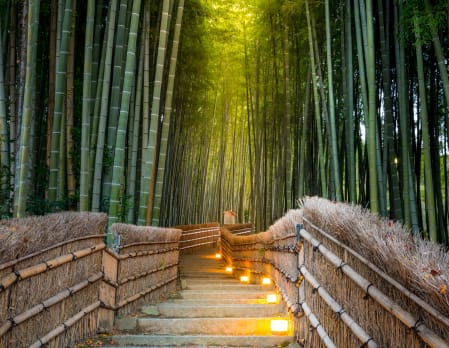 Limitless Japan