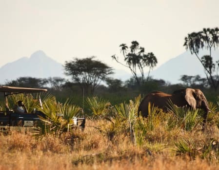 Elewana Elsa’s Kopje