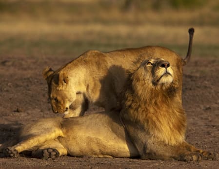 Mara Expedition