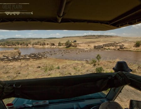 The Great Migration