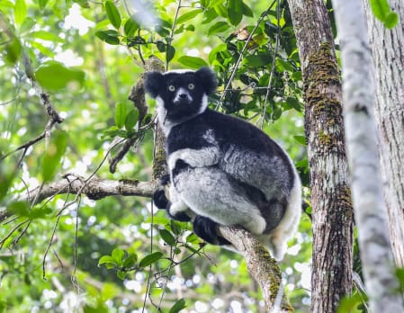 Family Fun in Madagascar and Mauritius