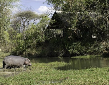 Mvuu Lodge