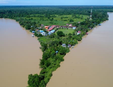 Abai Jungle Lodge - Tree Planting Project