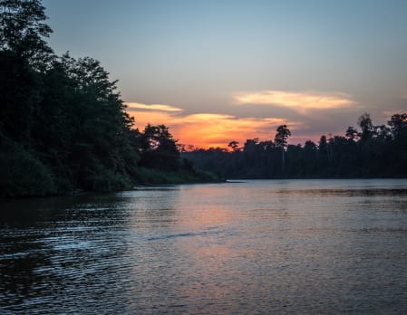 Kinabatangan River - Afternoon River Cruise