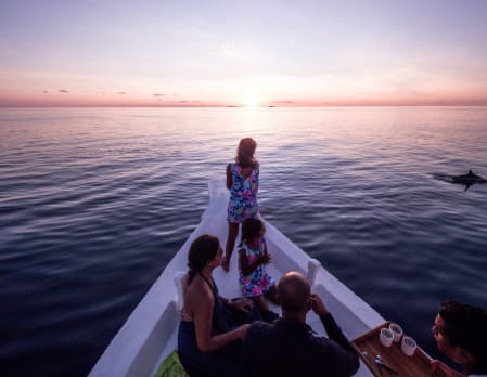 Family dolphin cruise
