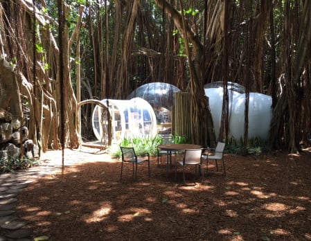 Bubble Lodge Night Under the Stars