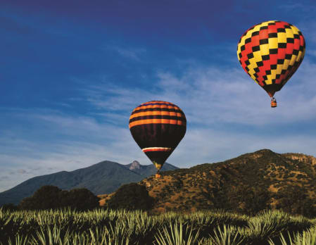 Balloon flight over the Agave fields