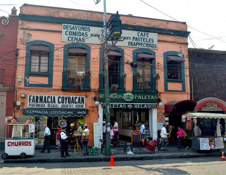 Mexico City's Southern Neighbourhoods