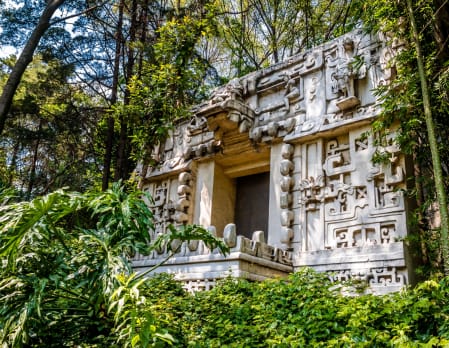 National museum of Anthropology out of hours private tour
