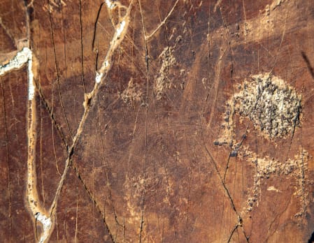 Havsgait Petroglyths