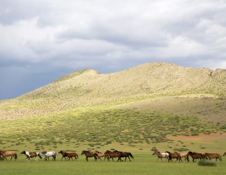 Hustain Nuruu National Park