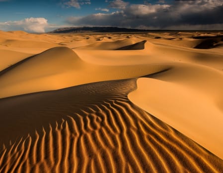 Motlsog Els Sand Dunes