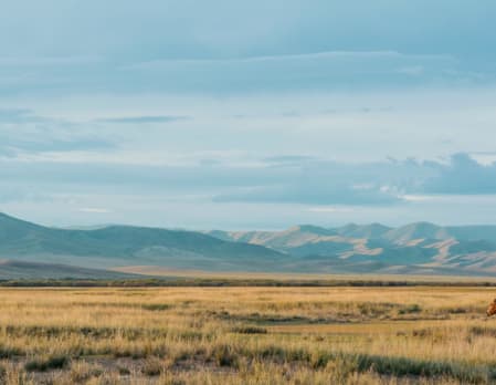 Ultimate China & Mongolia