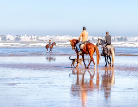 Horse riding on the beach in Essaouira