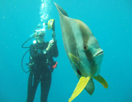 Dive the Bazaruto Archipelago
