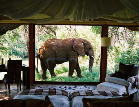 Epic South Africa and Mozambique