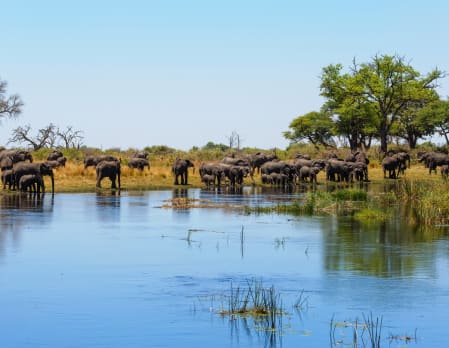Shametu River Lodge & Campsite