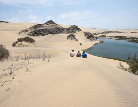 Day trips to Desert Oases