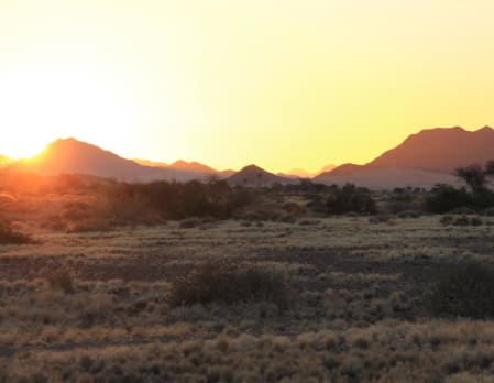 Hiking at Desert Homestead