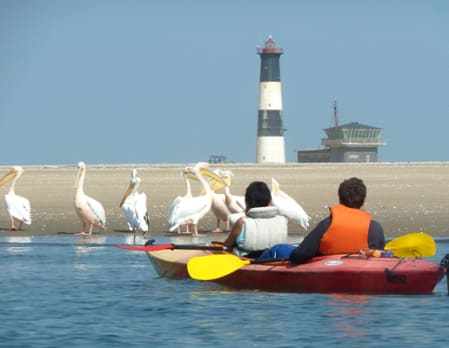 Kayaking with Seals