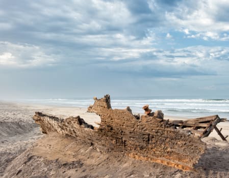 Skeleton Coast Excursion