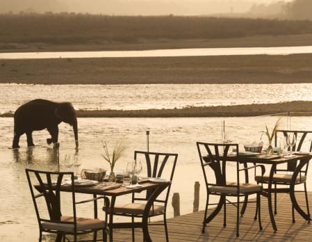Meghauli Serai, Taj Safaris