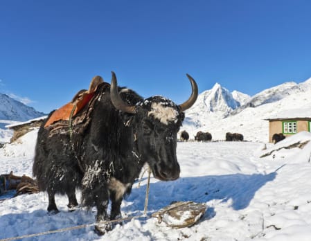 Dinner with an Everest Summiteer