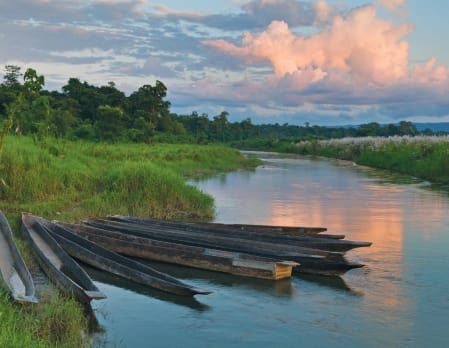 Wild Nepal