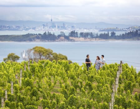 Exclusive Gourmet Food and Wine on Waiheke - Shared