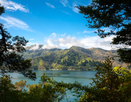 Private Guided Hike on Queen Charlotte Track
