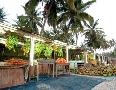 Half-day Salalah City Tour
