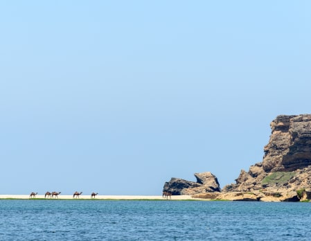Jebel Safari Tour in the Dhofar Mountains