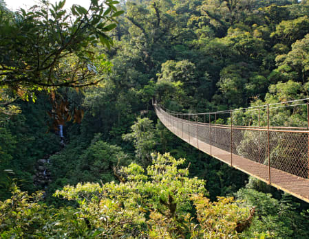 Boquete Hanging Bridges Tour