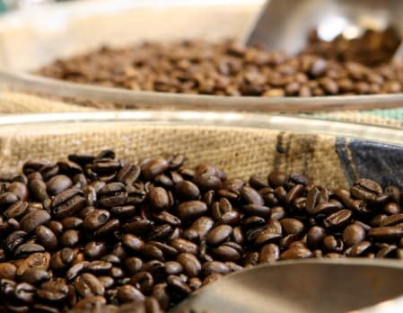 Kotowa Coffee Tour